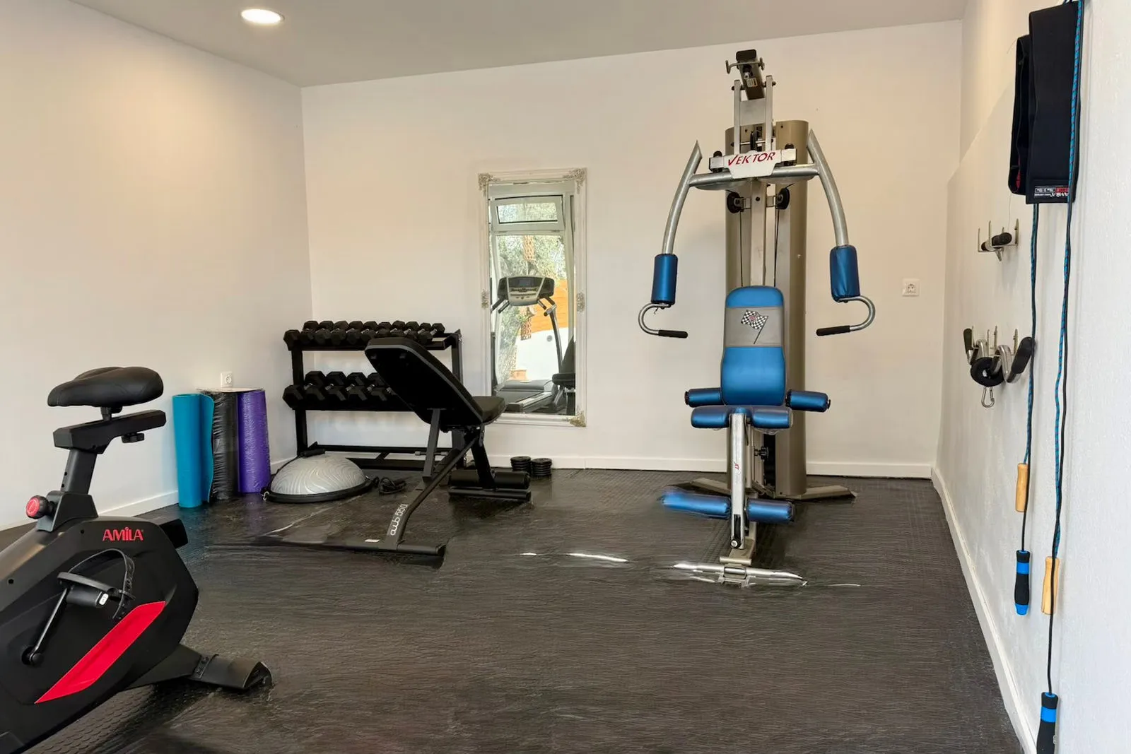 Fitness room with multi-press and bike