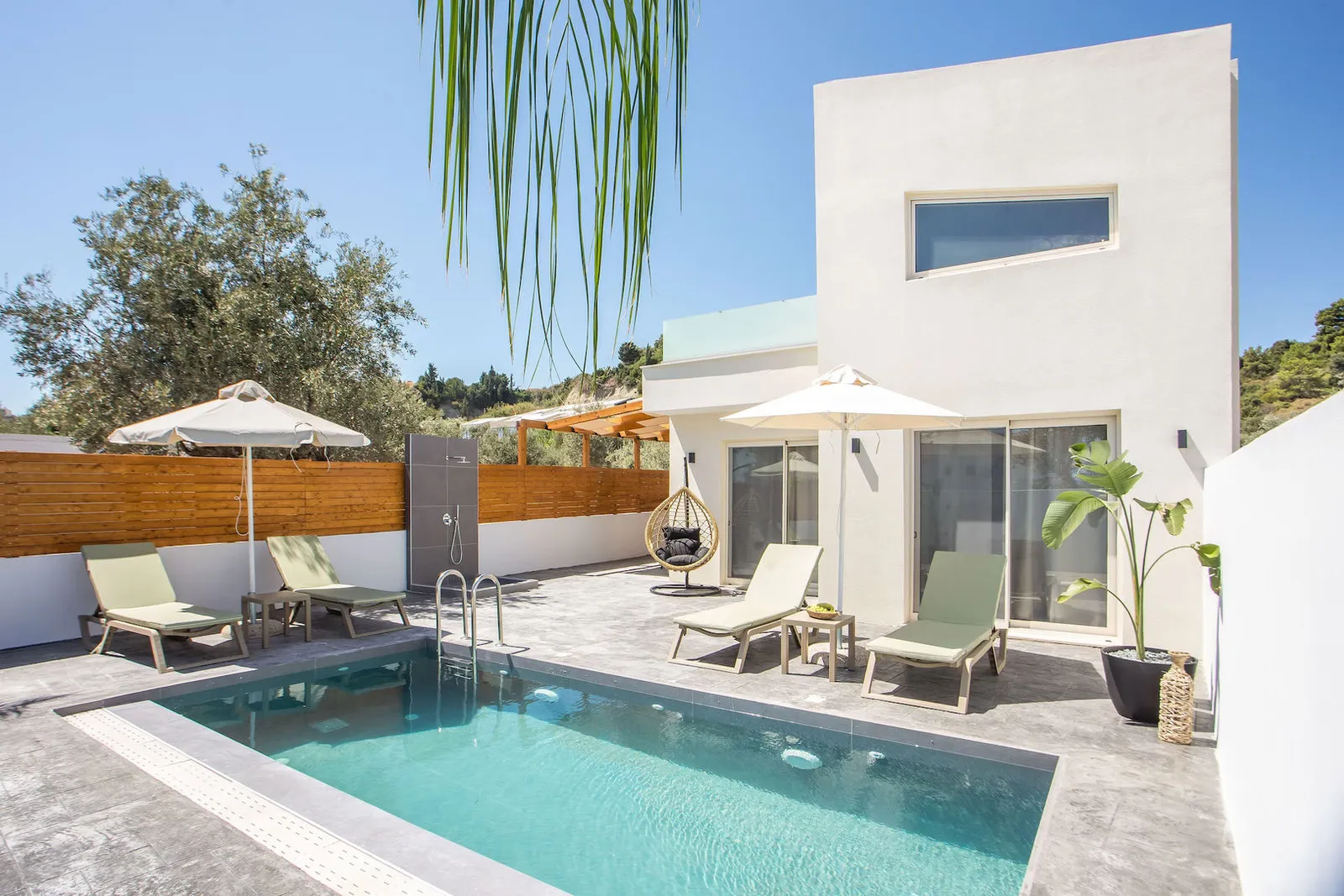 Pool terrace with umbrellas and a palm